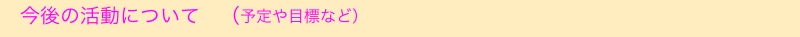 　今後の活動について　（予定や目標など）