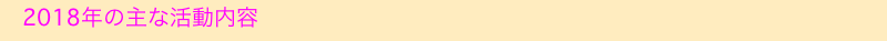 　2018年の主な活動内容